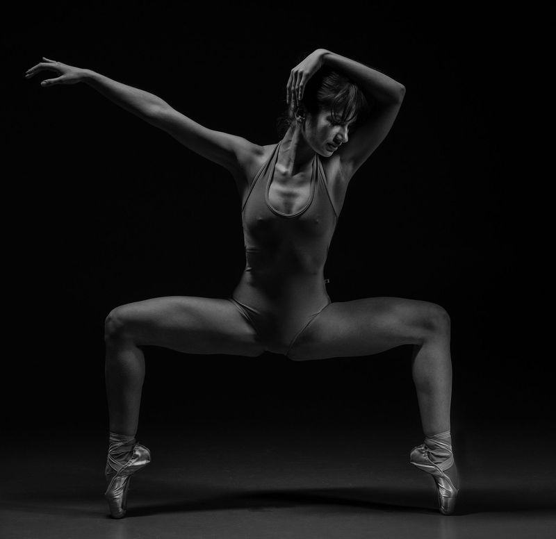 gallery_d13